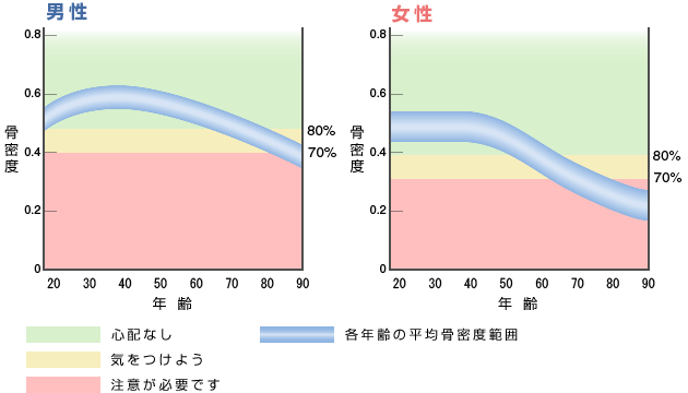 日本人の骨密度変化の模式図