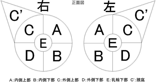 宇都宮記念病院の乳房X線（マンモグラフィ）検査