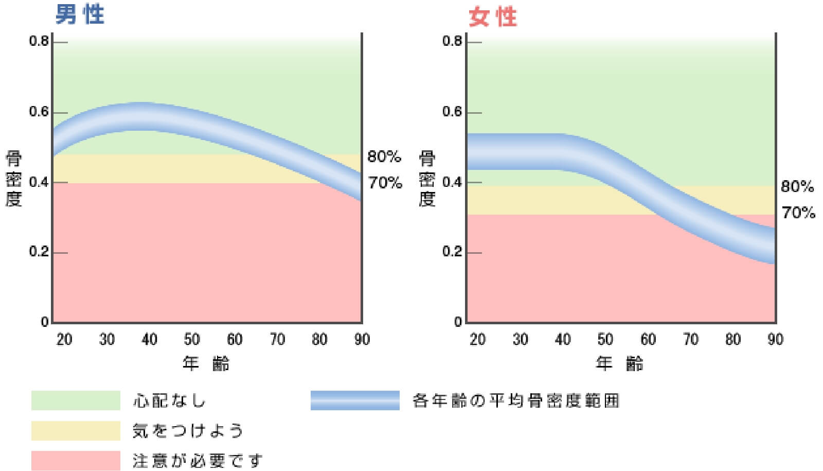 日本人の骨密度変化