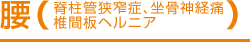 腰（脊柱管狭窄症、坐骨神経痛、椎間板ヘルニア）