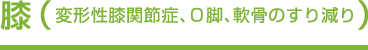 膝（変形性膝関節症、Ｏ脚、軟骨のすり減り）