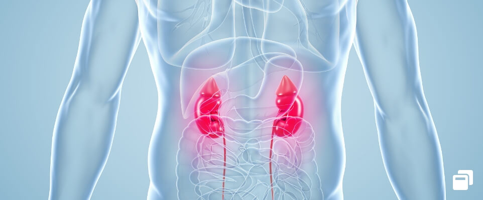 腎・透析センターのイメージ