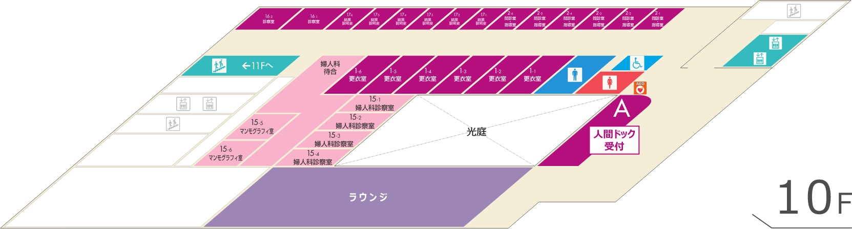 健診センターフロア F10