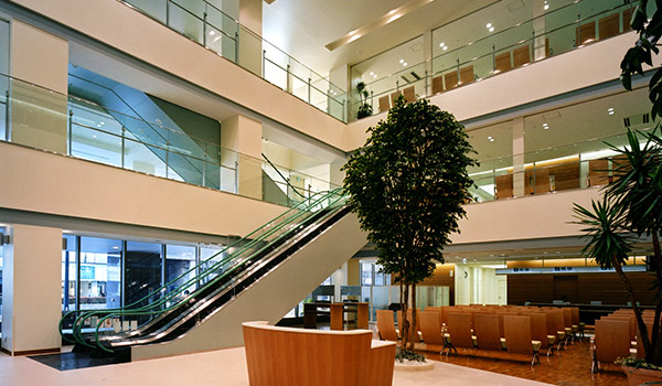 厚生労働大臣が定める事項