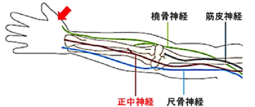末梢神経伝導検査1