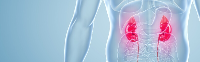 腎・透析センター